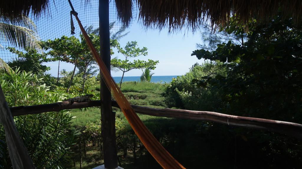 Rancho Sakol Hotel Puerto Morelos Værelse billede