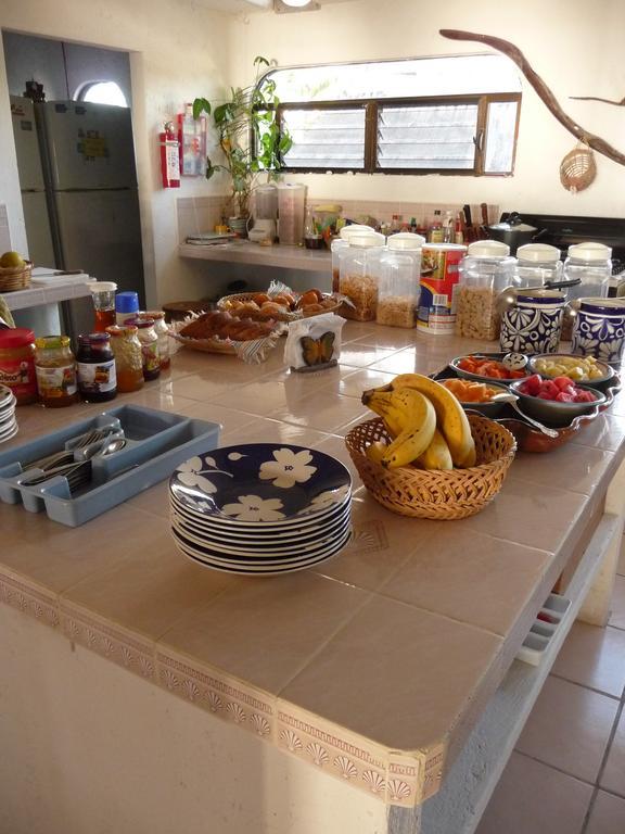 Rancho Sakol Hotel Puerto Morelos Eksteriør billede