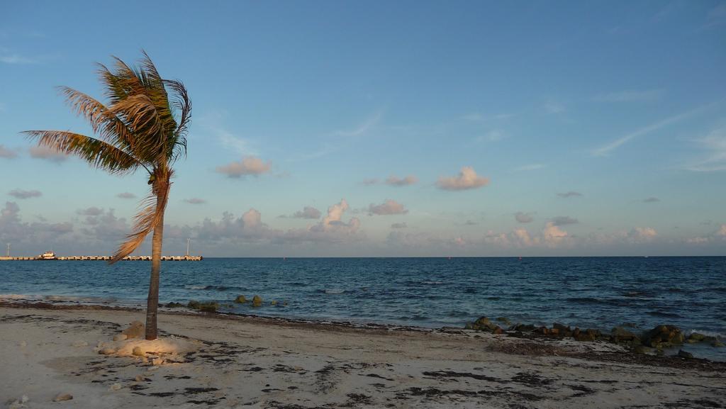 Rancho Sakol Hotel Puerto Morelos Eksteriør billede