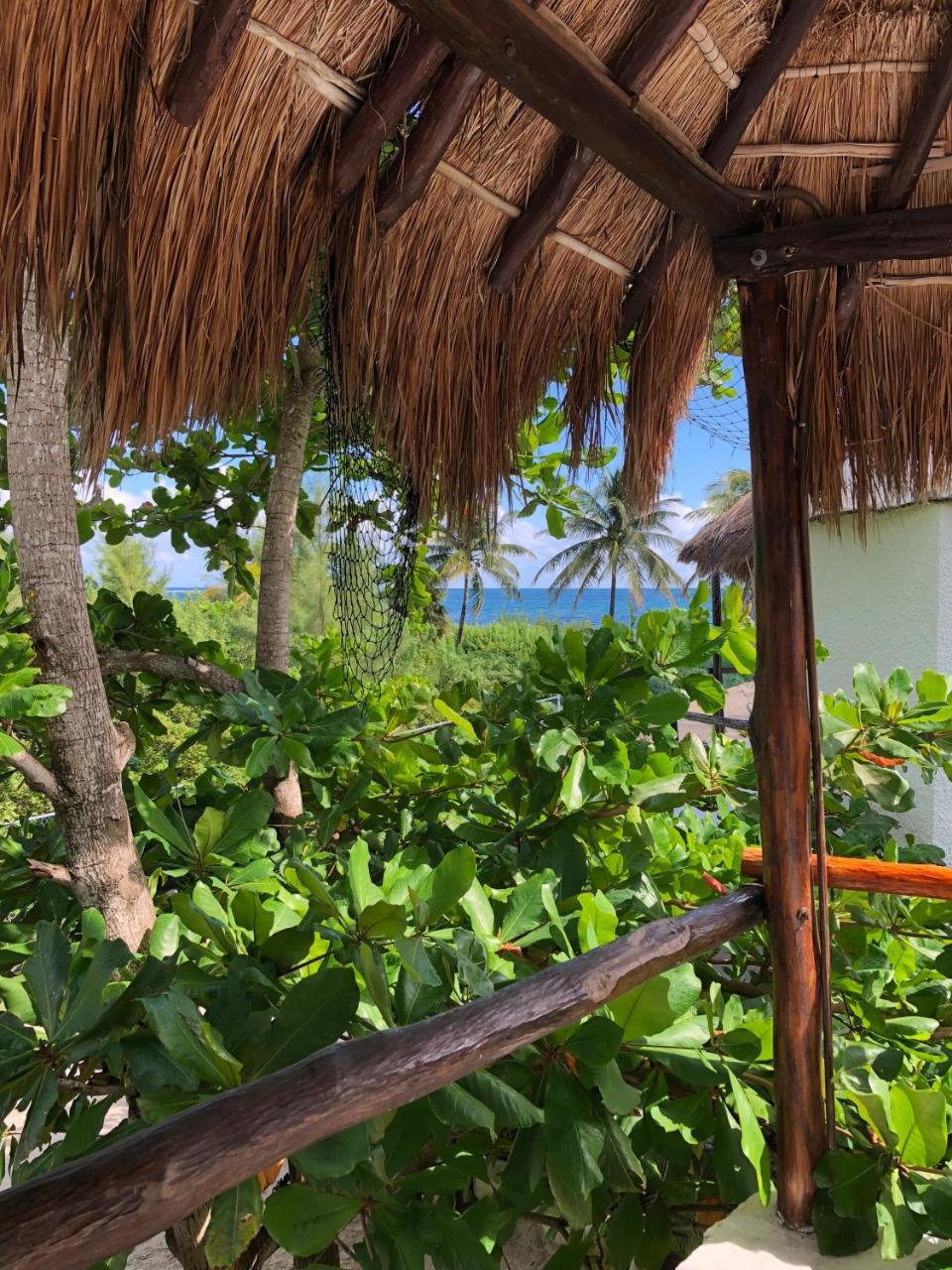 Rancho Sakol Hotel Puerto Morelos Værelse billede